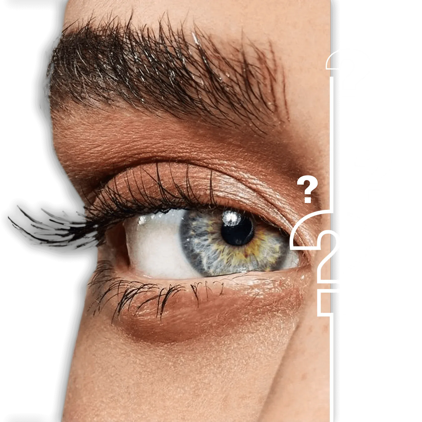 How Much Does Smart Lens Cost How Much Does Smart Lens Cost