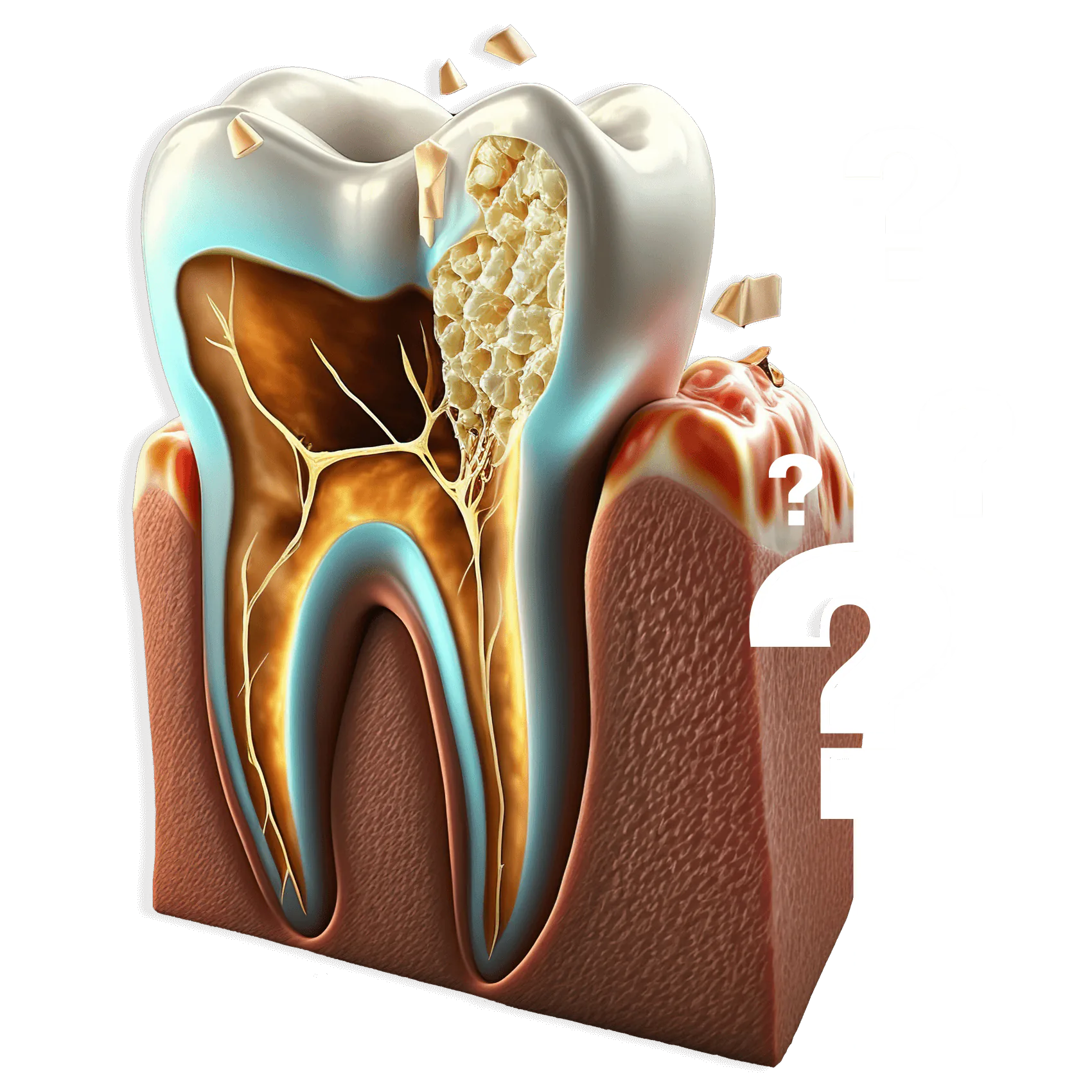 How-Much-Does-Endodontics-Cost How Much Does Endodontics Cost