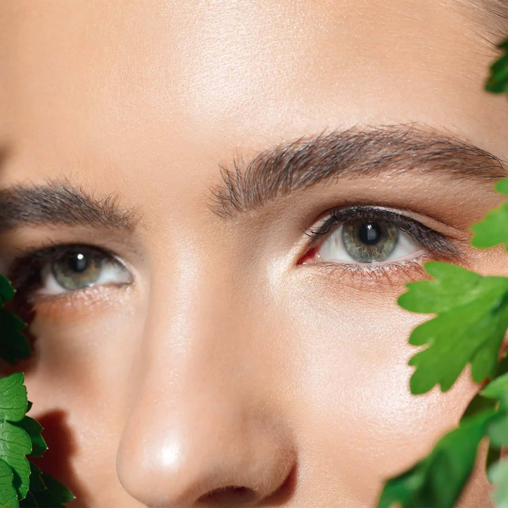 Who qualifies for Eyebrow Transplant