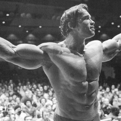 Arnold Schwarzenegger Bodybuilding Journey