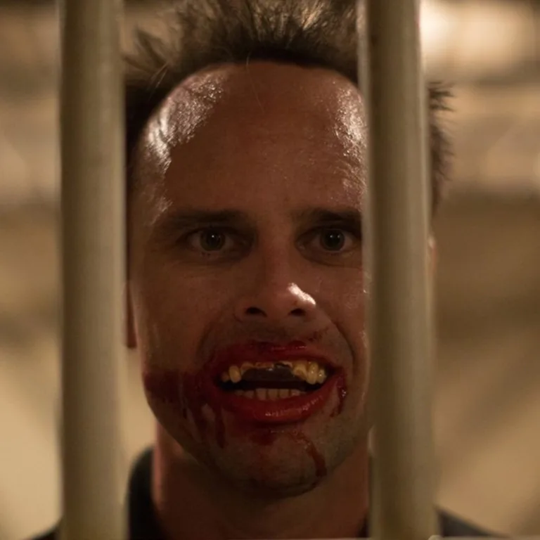 The Role of Cosmetic Dentistry in Hollywood