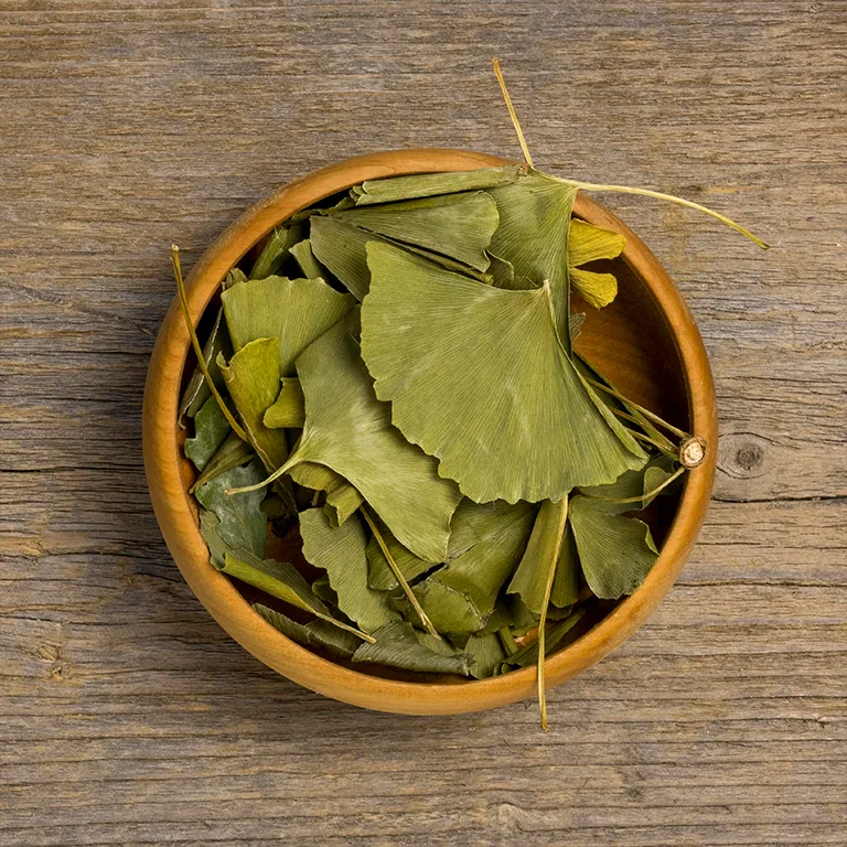 What is Ginkgo Biloba Used For