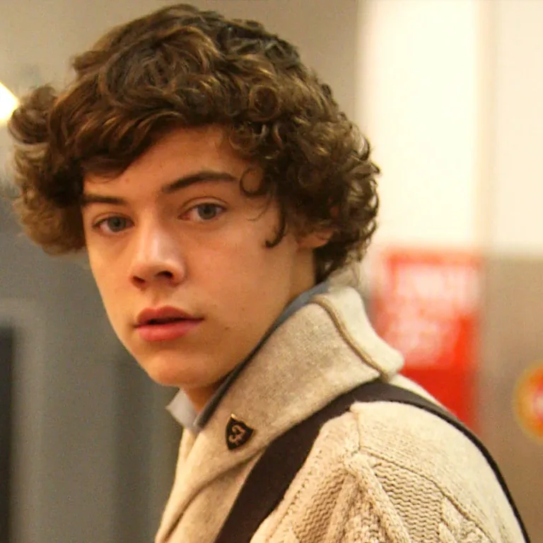 Harry Styles Hair Restoration