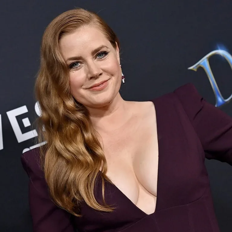 Amy Adams Breast Lift