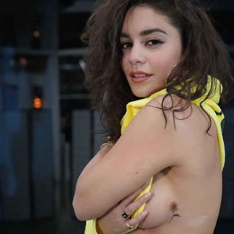 Vanessa Hudgens Before and After