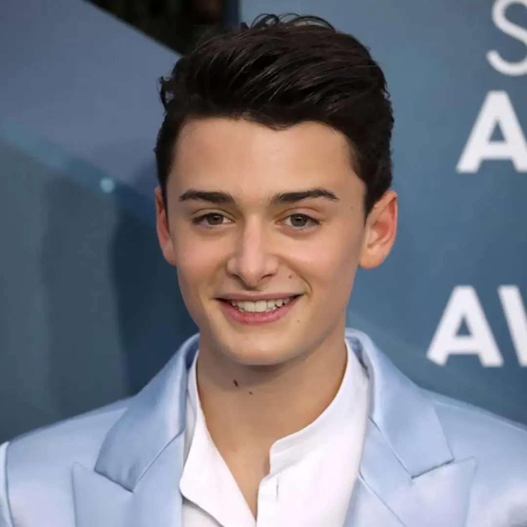 Noah Schnapp Buccal Fat Removal Rumors The 2026 Truth