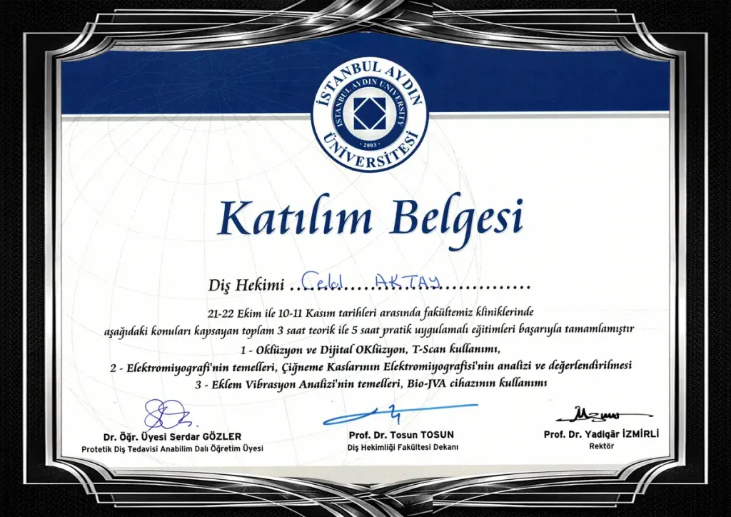 Continuing Education Program (İstanbul Aydın University)