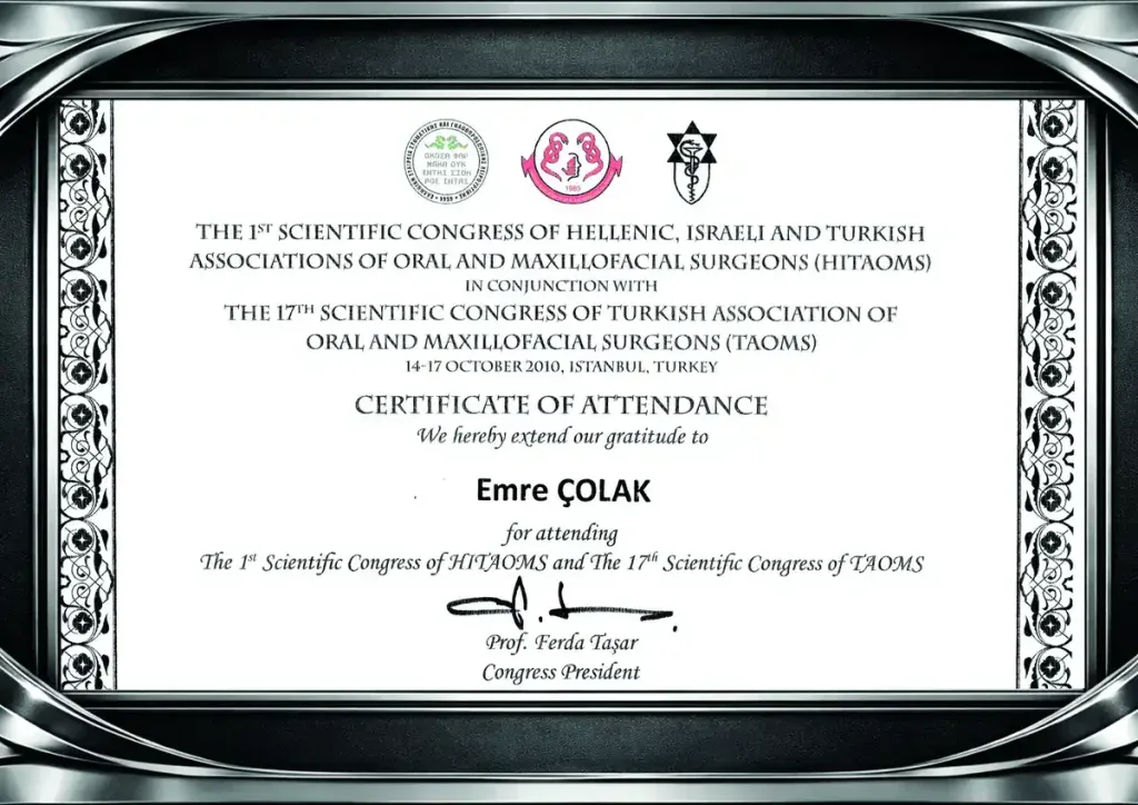 HITAOIMS-TAOMS 17th International Congress