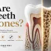 Are Teeth Bones What Enamel and Dentin Reveal About Tooth Structure