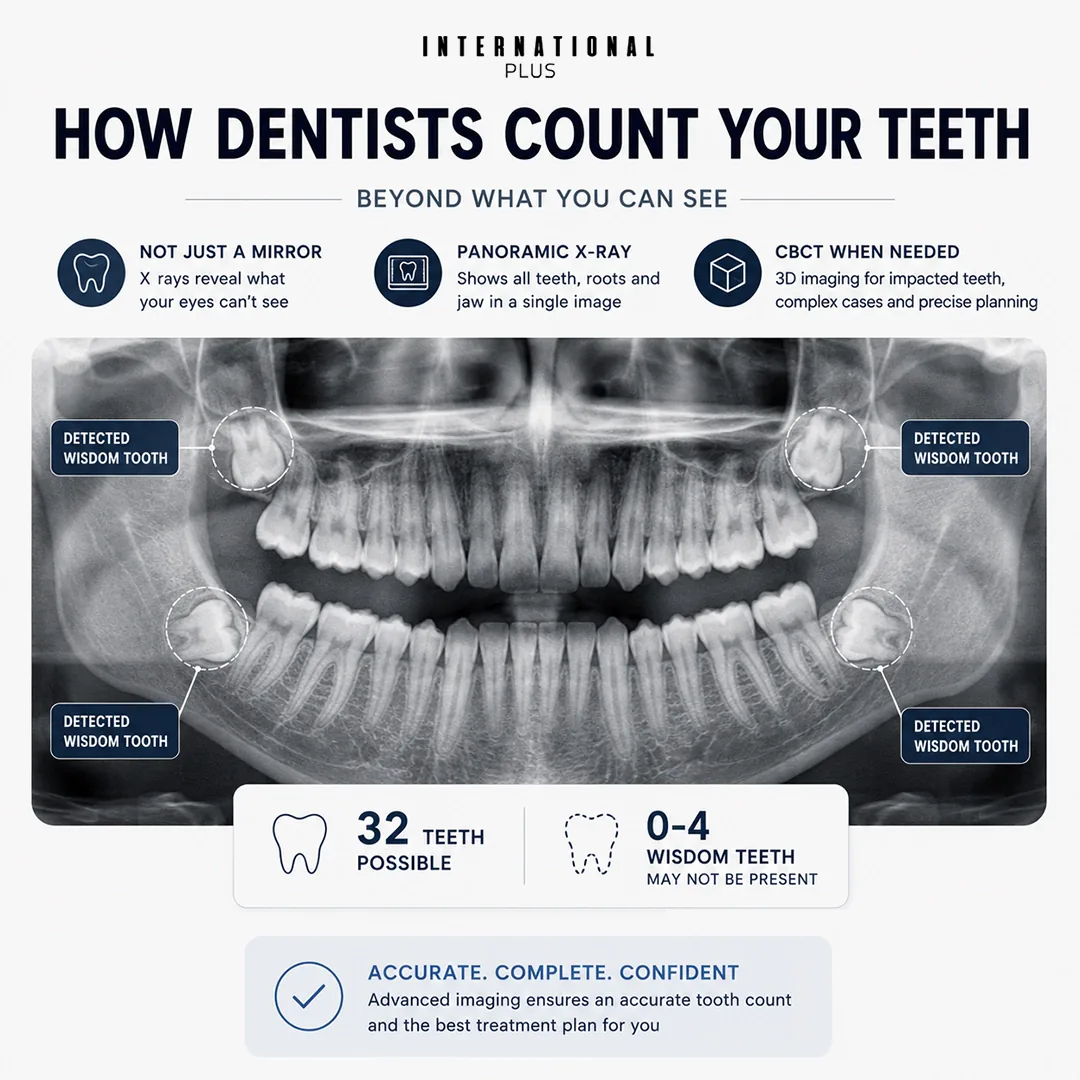 How Many Teeth Do Humans Have at Each Stage of Life